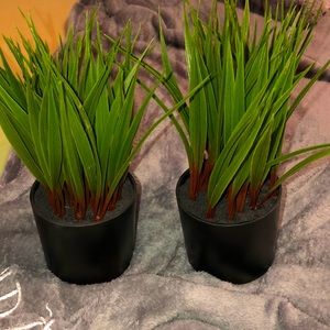 Cute realistic faux plants